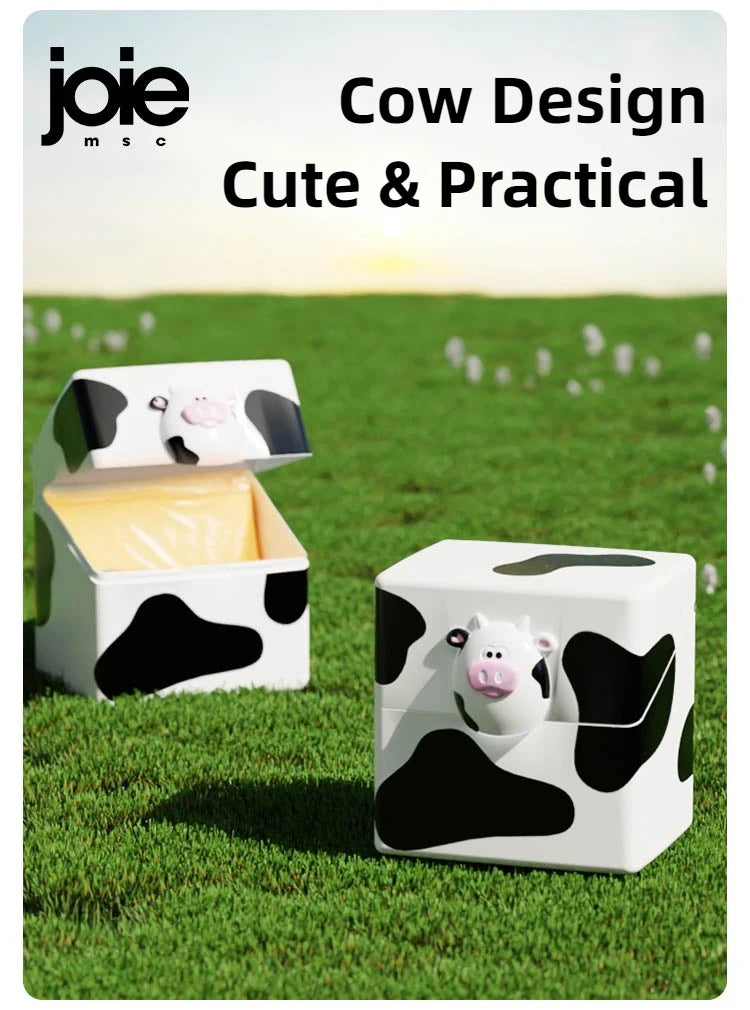 boîte à fromage esthétique et pratique