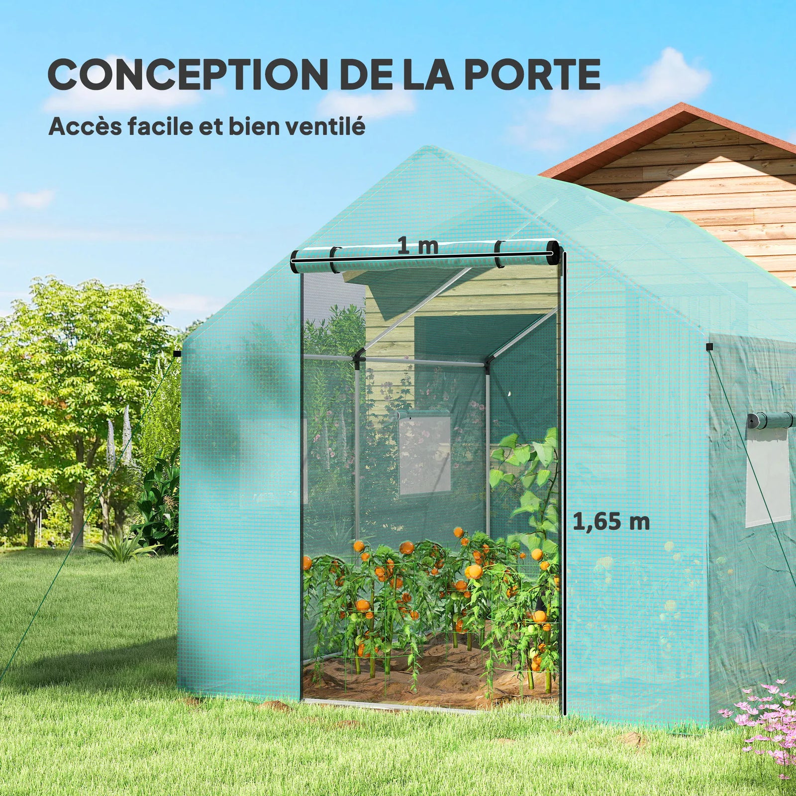 Serre de Jardin Tunnel 6 m² (2 × 3 m) — Bâche PE Anti-UV, 4 Fenêtres, Porte Enroulable, Armature Acier Galvanisé Serre de jardin