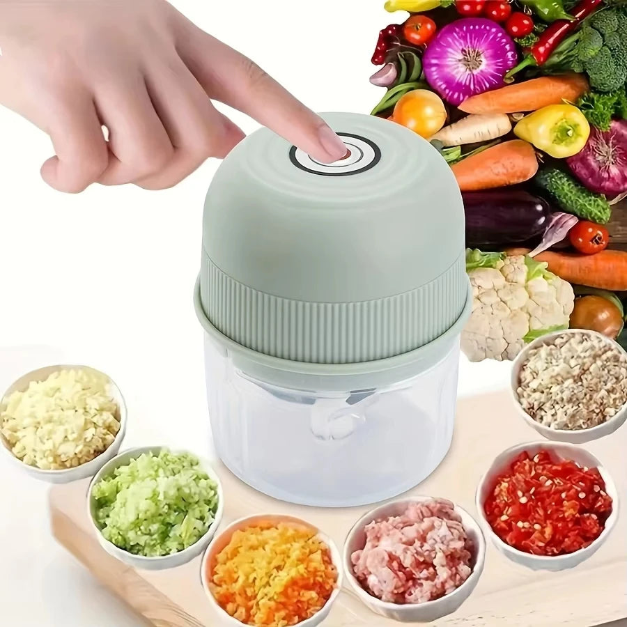Mini-Hachoir Électrique 260ml pour Ail Légumes et Viande