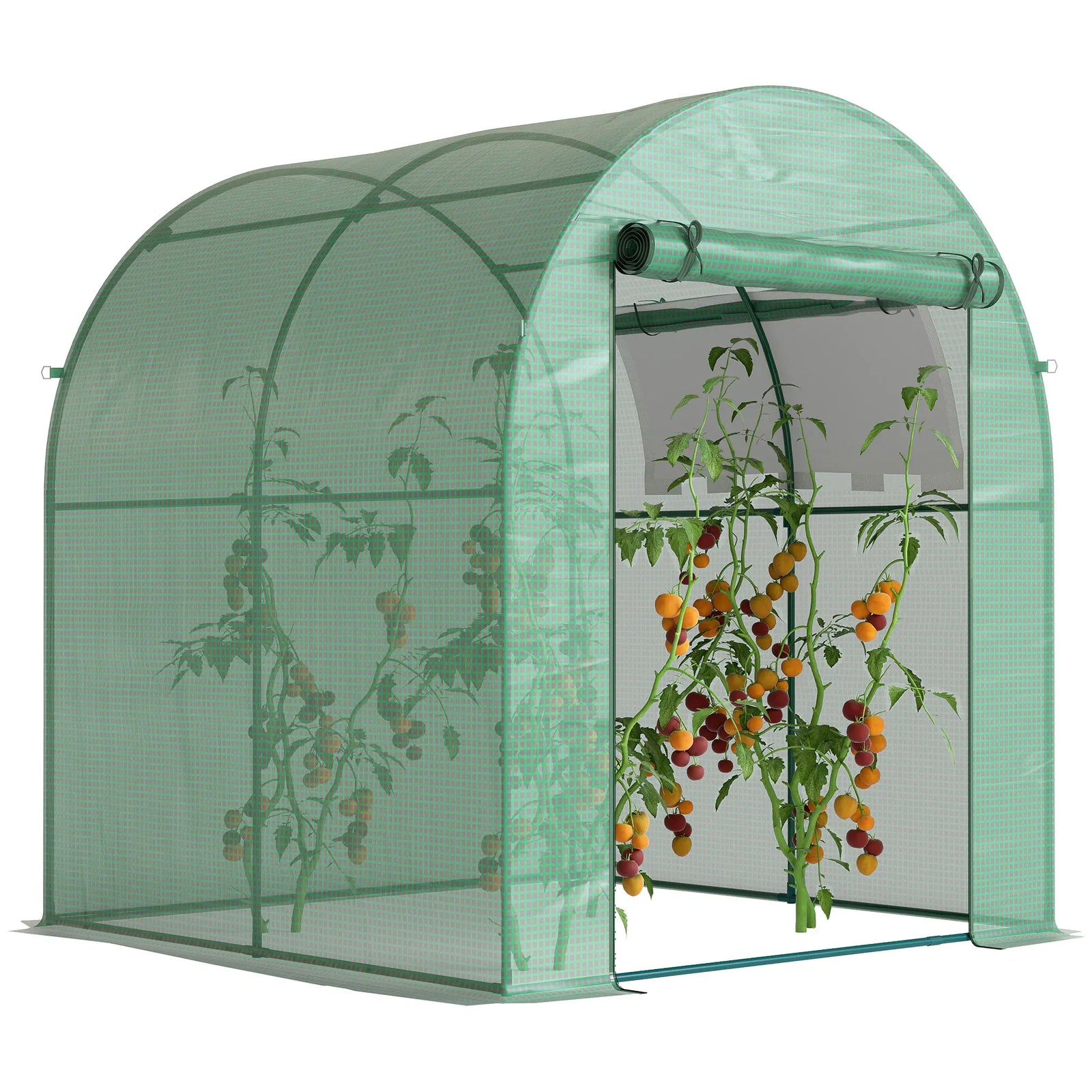 Serre de Jardin Tunnel 180 x 180 x 200 cm – Acier ; Bâche PE, Porte et Fenêtre Enroulables Serre de jardin
