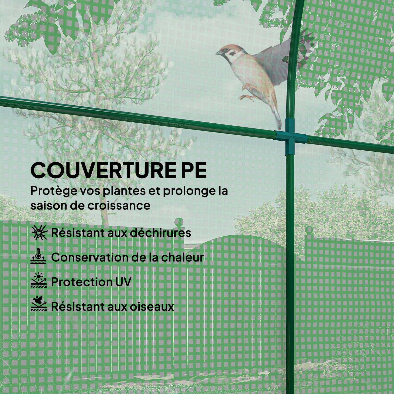 Serre de Jardin Tunnel 180 x 180 x 200 cm – Acier ; Bâche PE, Porte et Fenêtre Enroulables Serre de jardin