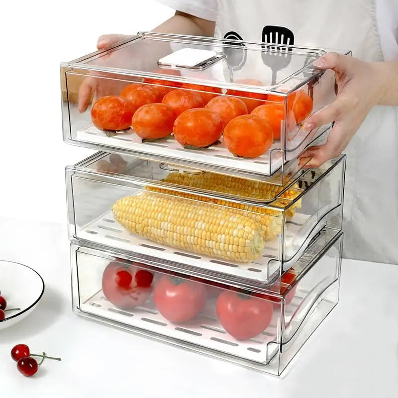 bac frigo pour viandes et légumes