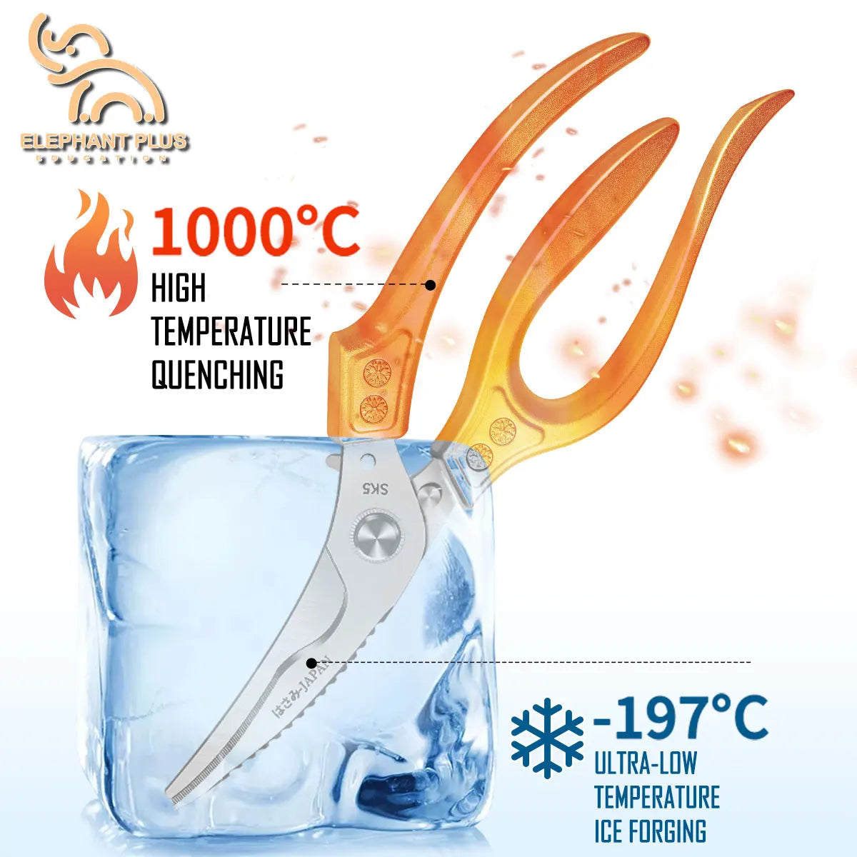ciseaux en inox pour préparation de volailles