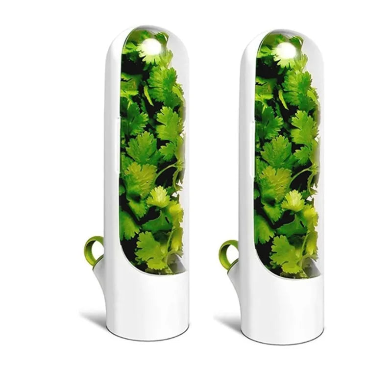 boîtiers hermétiques pour rangement légumes