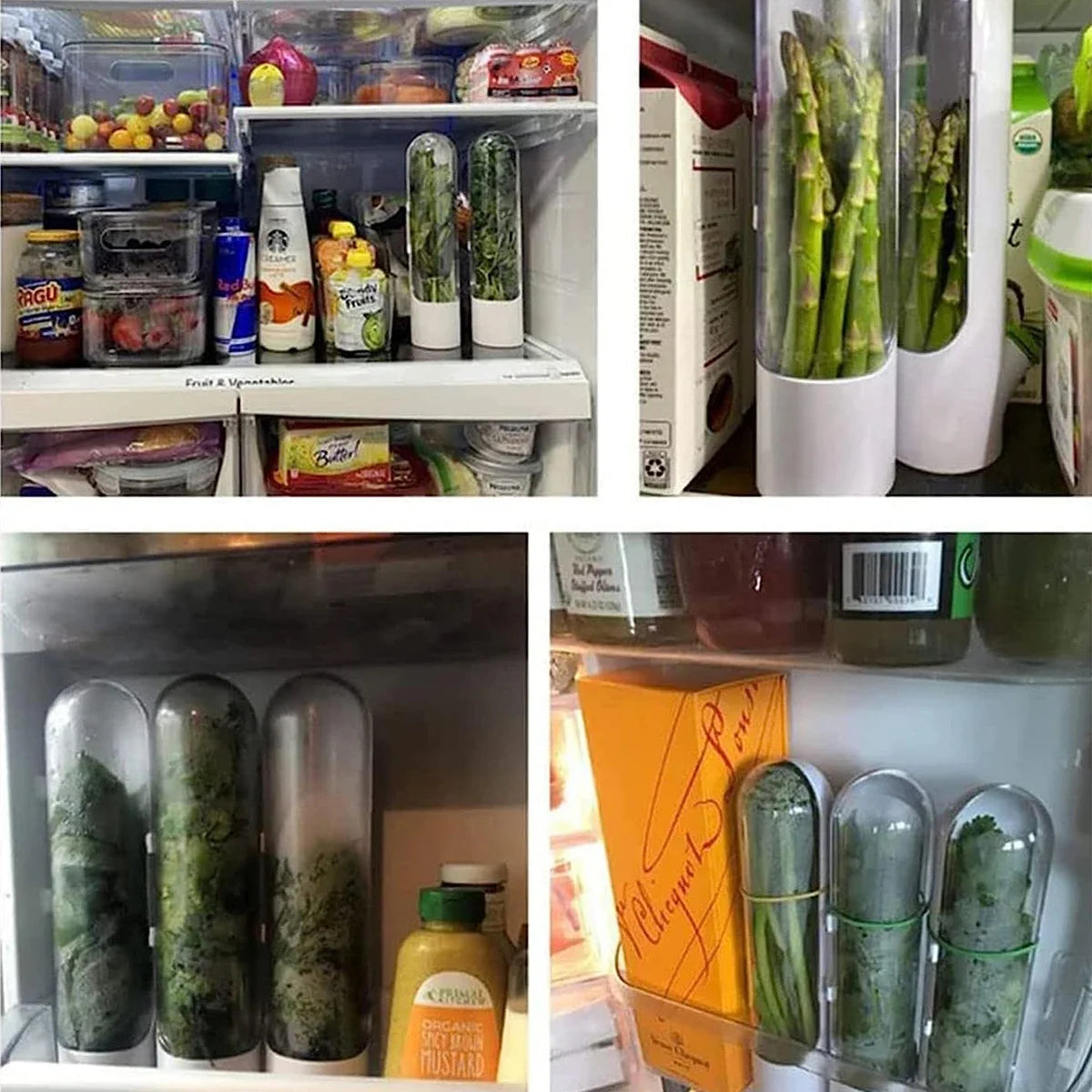 solutions de conservation hermétiques pour aliments