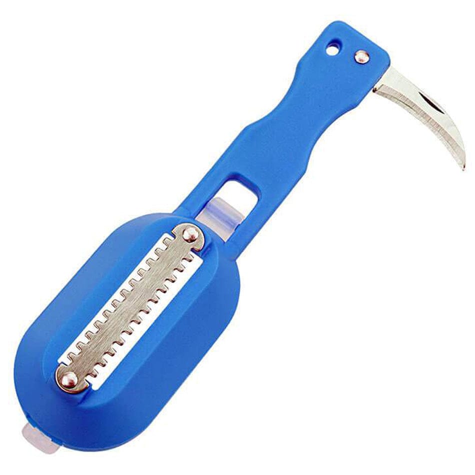 Brosse à Écailler le Poisson Bleu