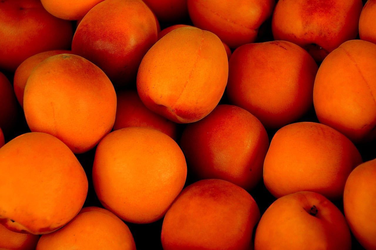 Conserver les abricots