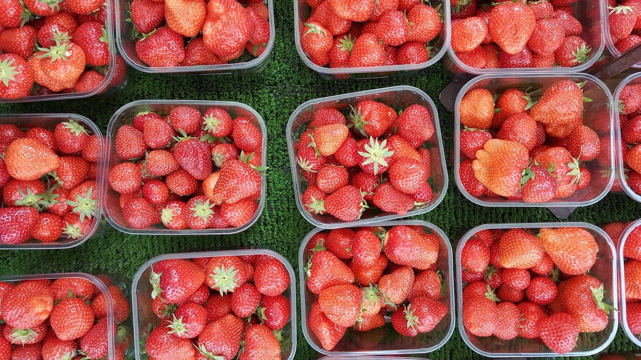 Boîtes alimentaires Curver : quelle gamme choisir et comment les utiliser