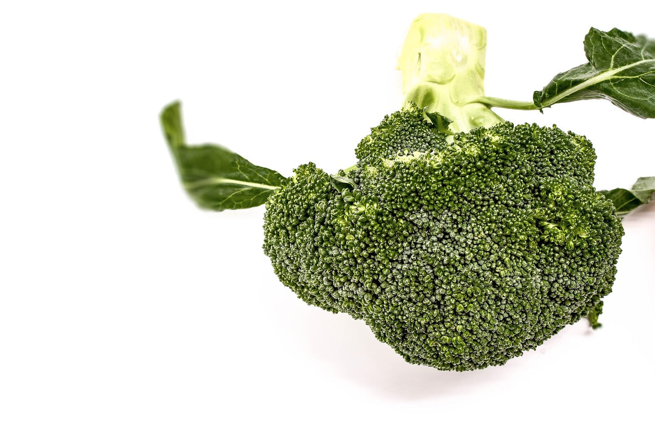 Comment cuisiner le brocoli : cuissons et recettes