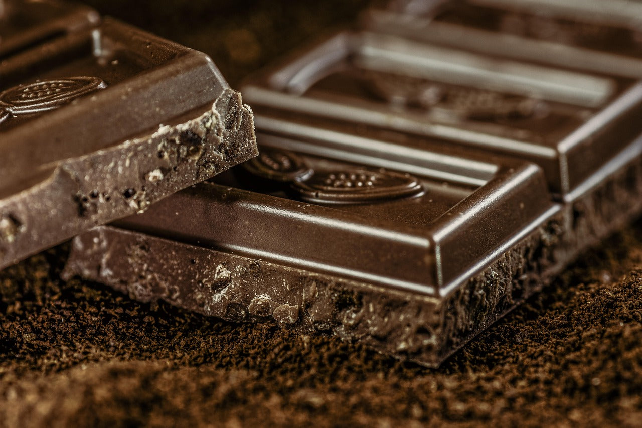 Gâteau au chocolat au cacao en poudre : la recette moelleuse