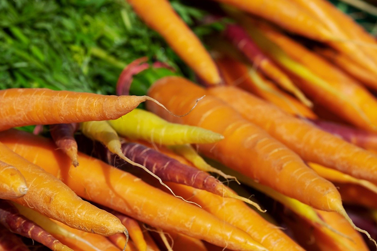 Conserver des carottes épluchées
