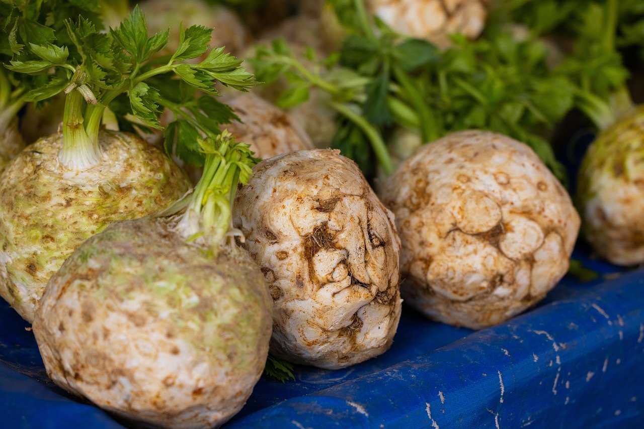 Comment cuisiner le céleri-rave : 5 recettes