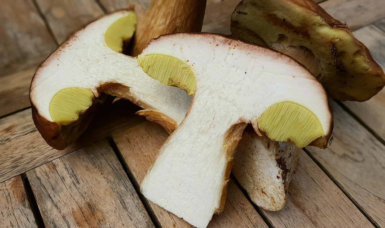Faut-il éplucher les cèpes ? Pied, mousse et chapeau