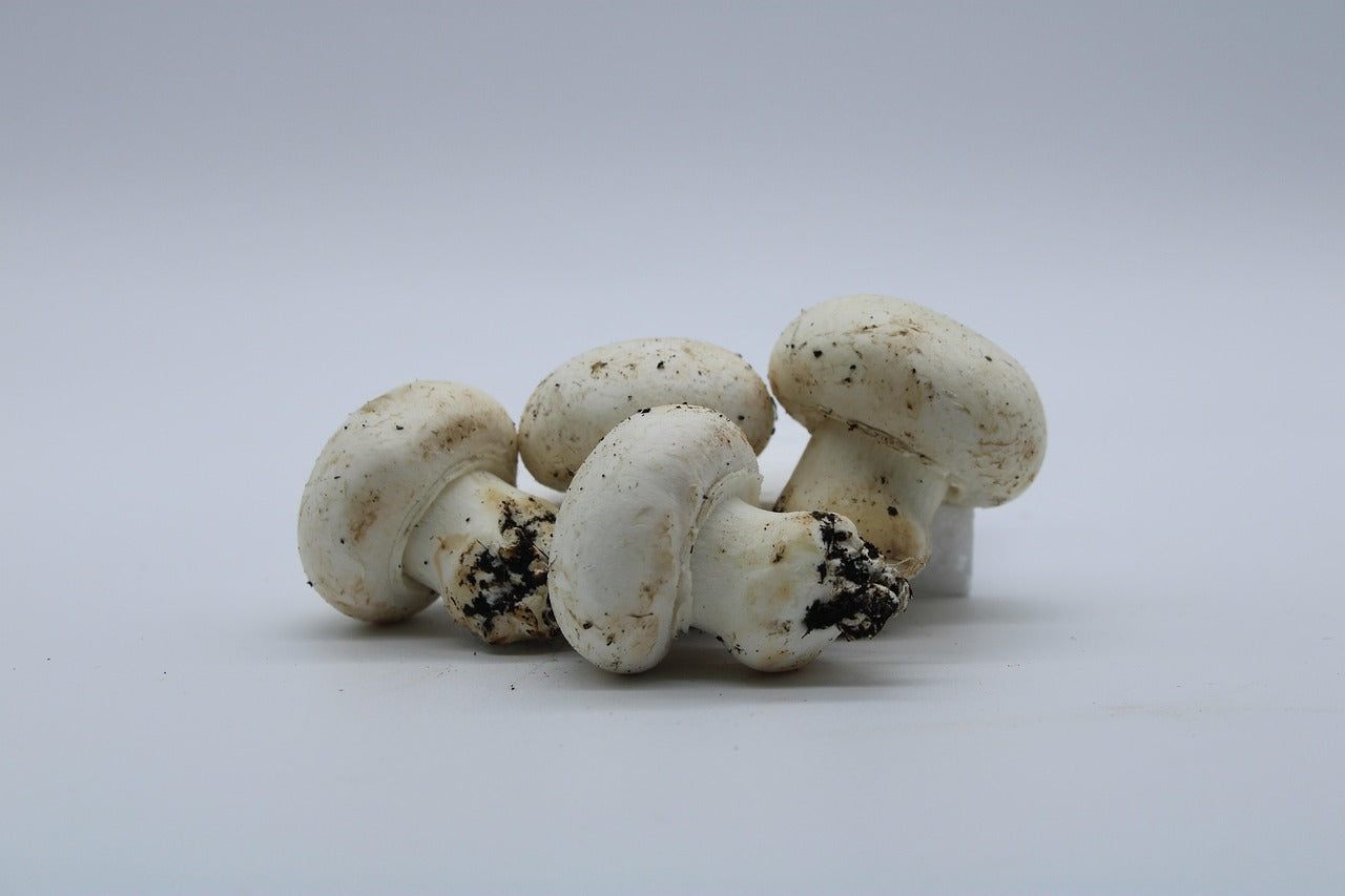 Faut-il éplucher les champignons de Paris ? Nettoyer, peler, couper