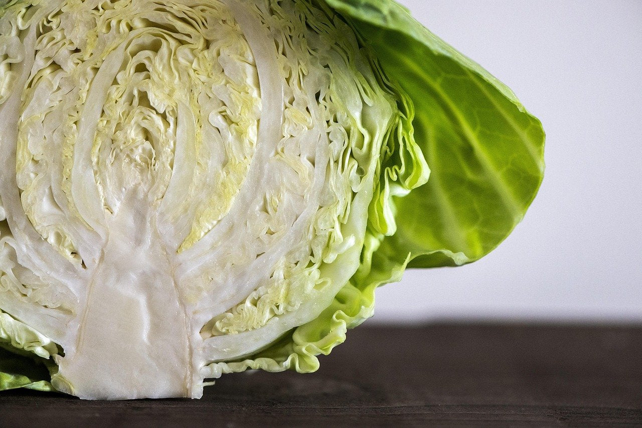 Comment cuisiner le chou vert : blanchi, poêlé, braisé ou farci
