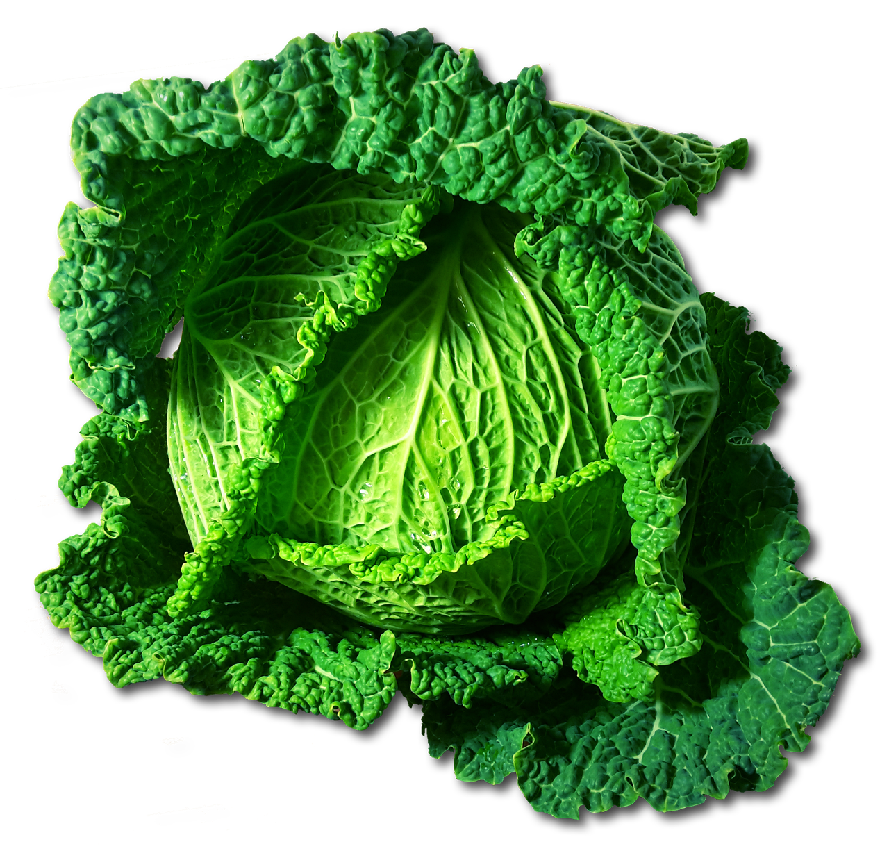 Nettoyer et préparer un chou vert