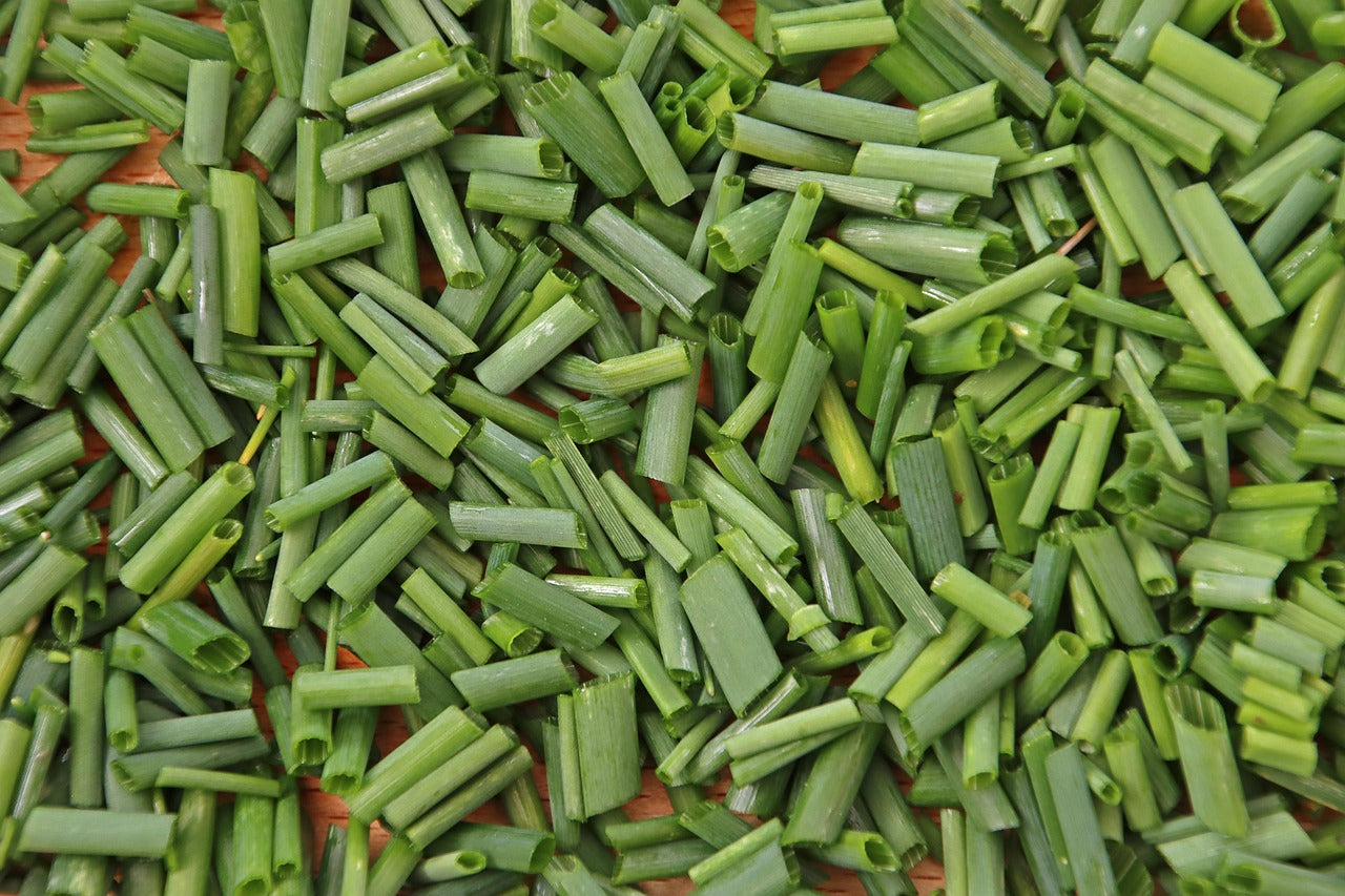 Comment conserver la ciboulette : au frais ou au congélateur