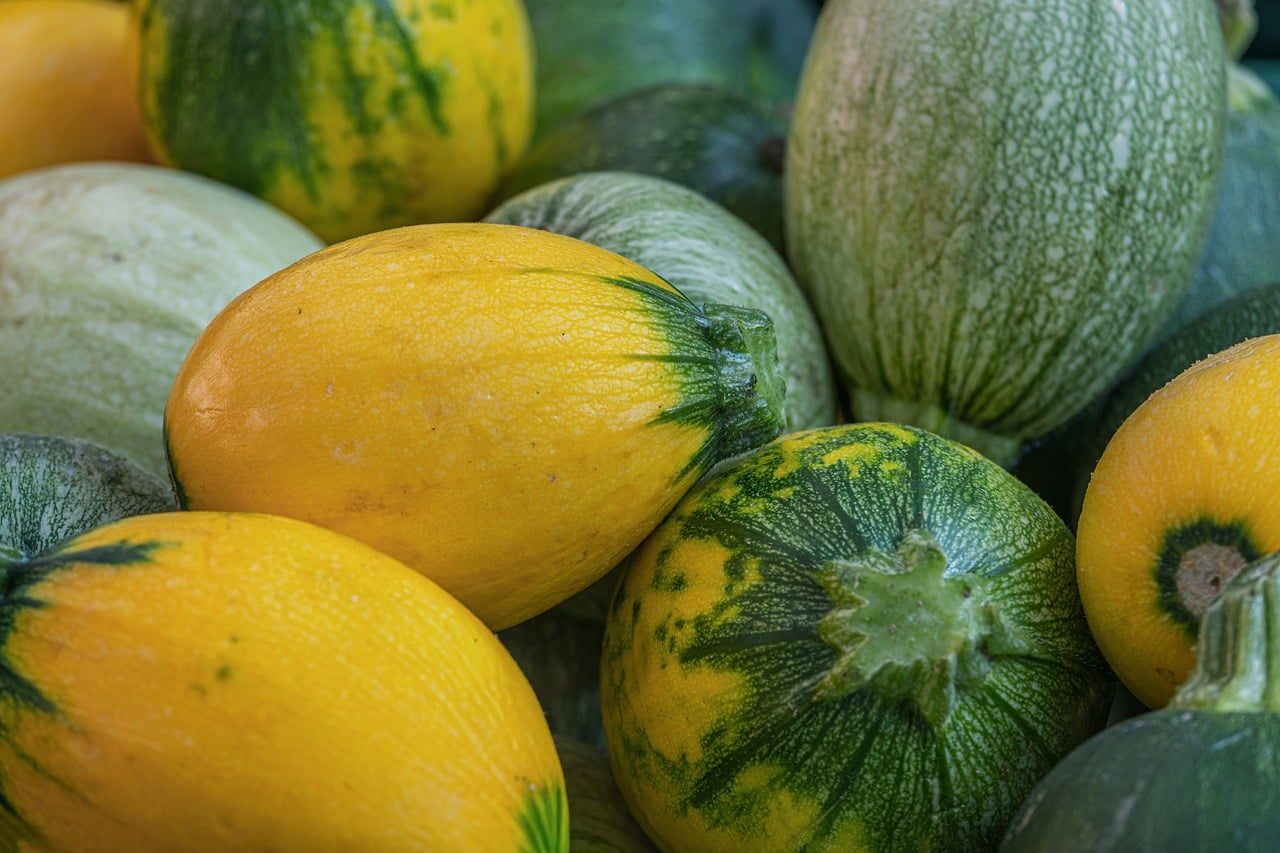 Comment éplucher une courgette : ronde, longue ou très grosse