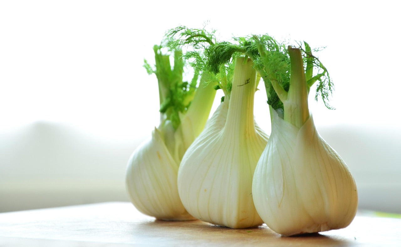 Comment cuisiner le fenouil : 5 recettes