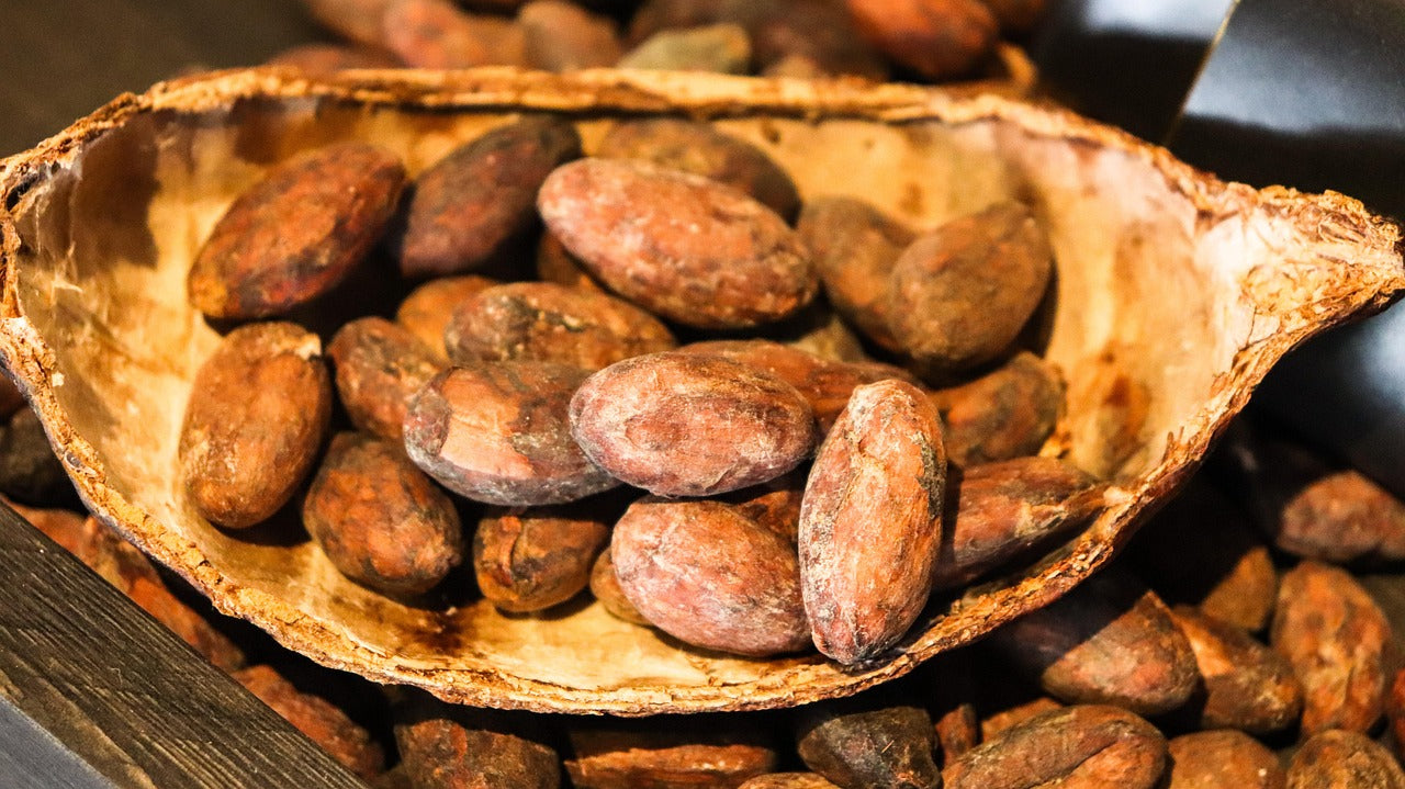 Faire du chocolat à partir de fèves de cacao
