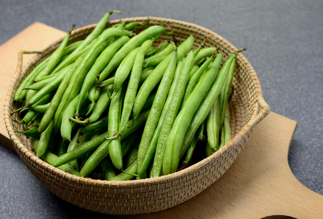 Conserver les haricots verts longtemps : congélation et bocaux stérilisés