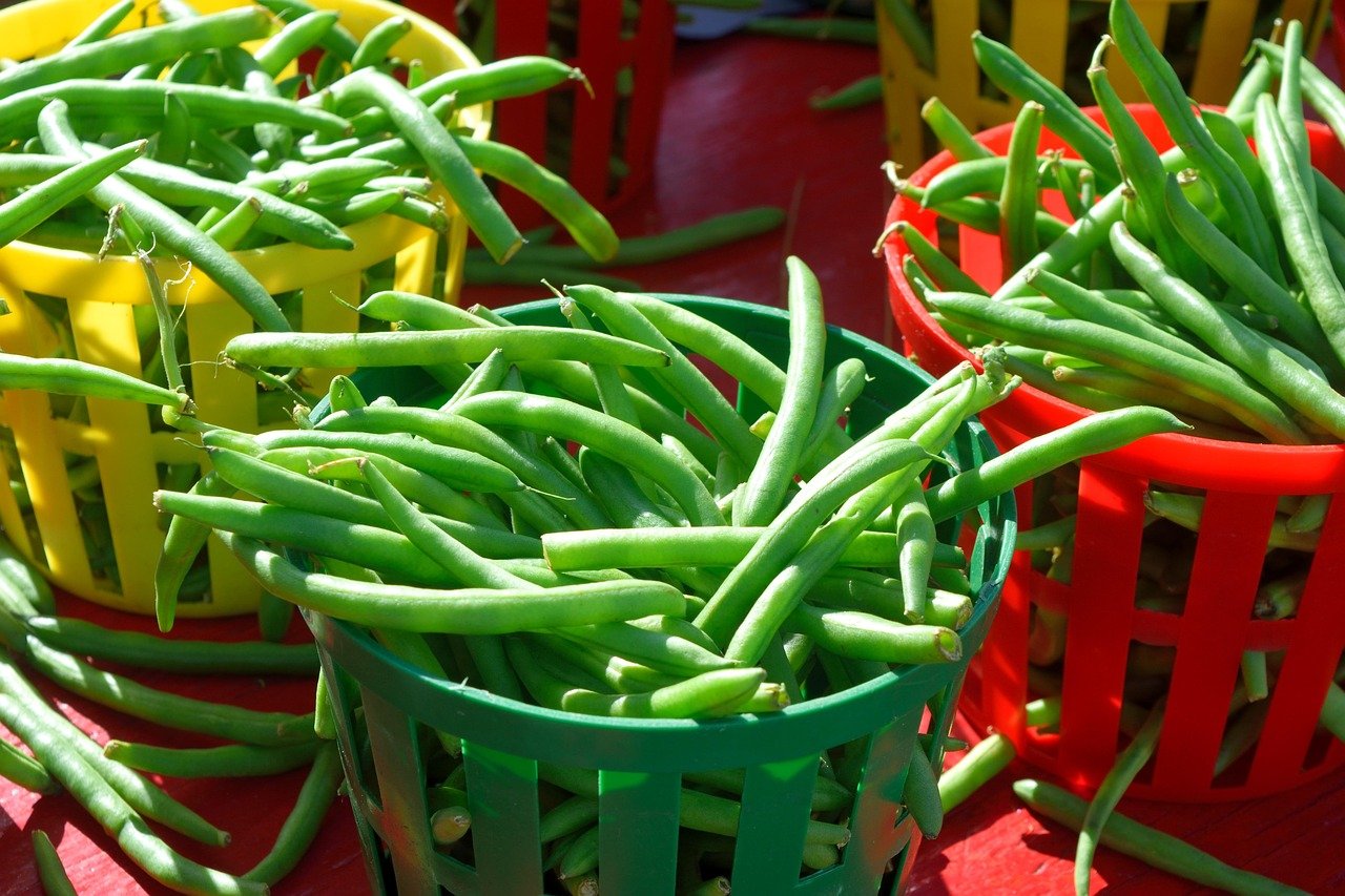 Comment conserver des haricots verts frais au réfrigérateur