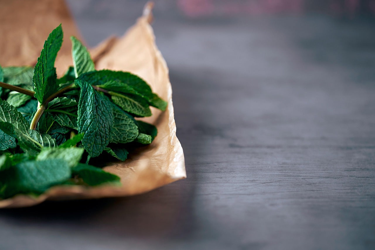 Comment conserver la menthe fraîche : frigo, congélation et séchage