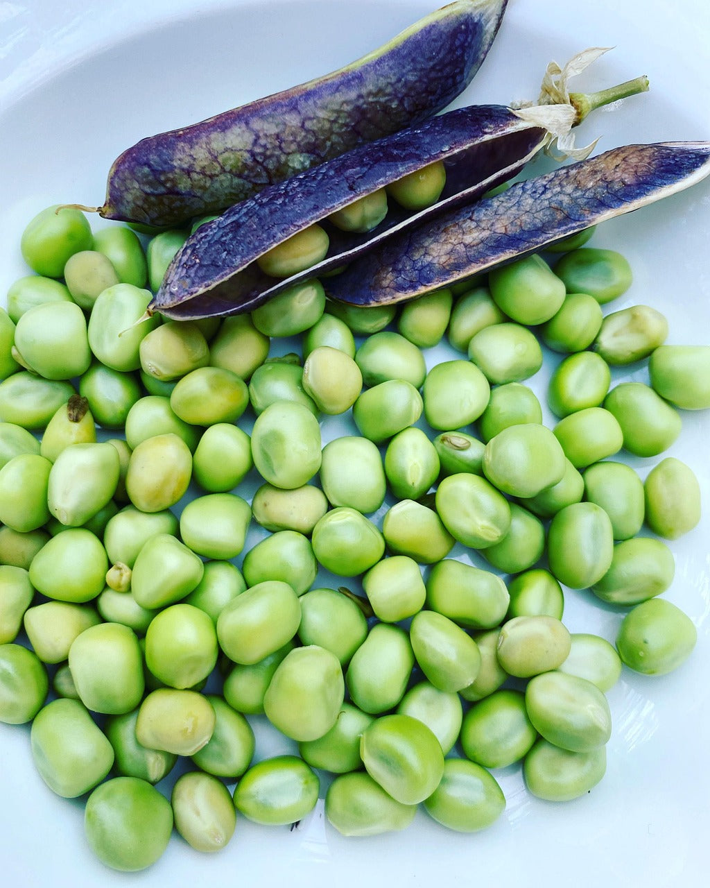 Que faire avec les cosses de petits pois au Thermomix ?