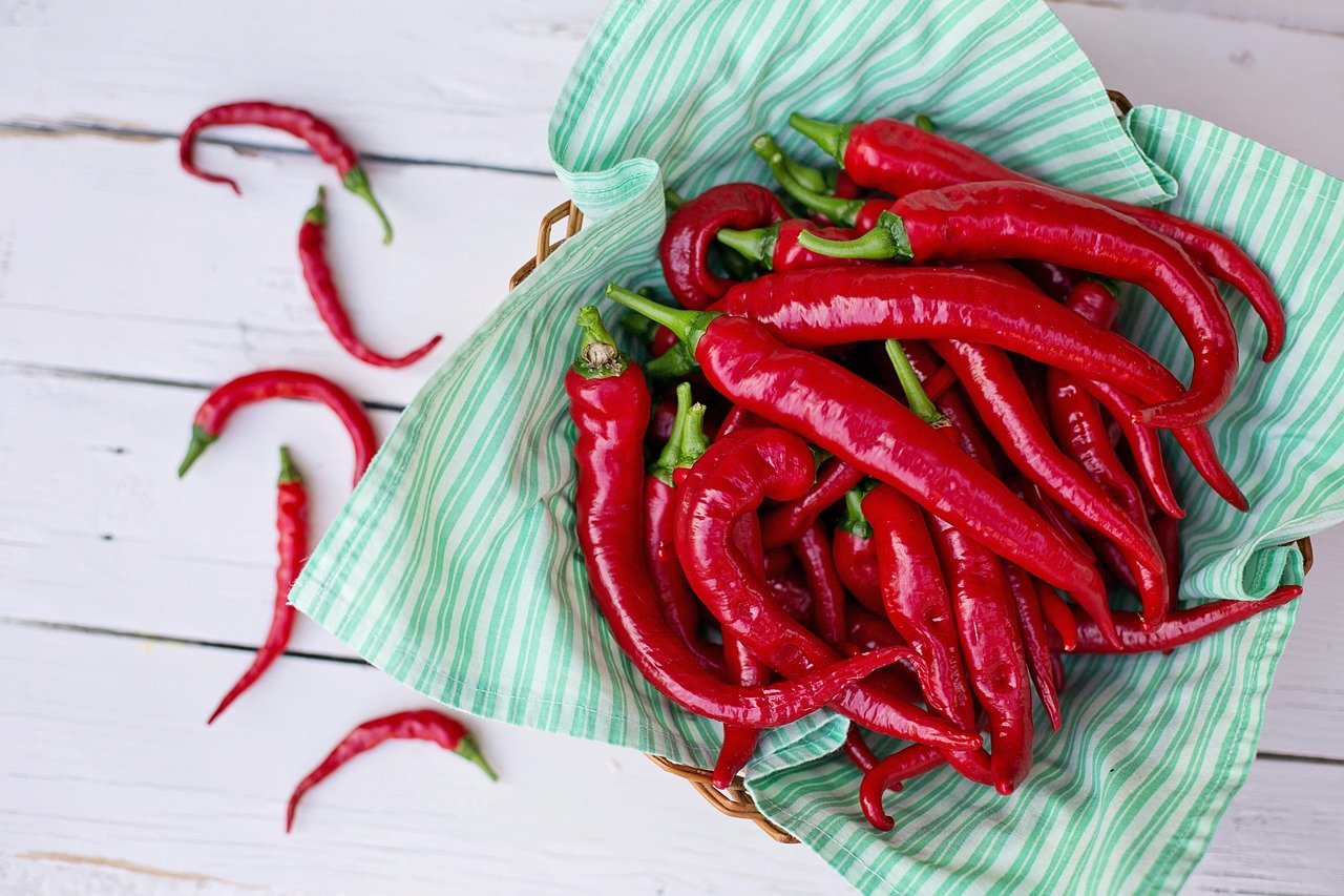 Comment conserver les piments frais : frigo, congélation, séchage, bocal