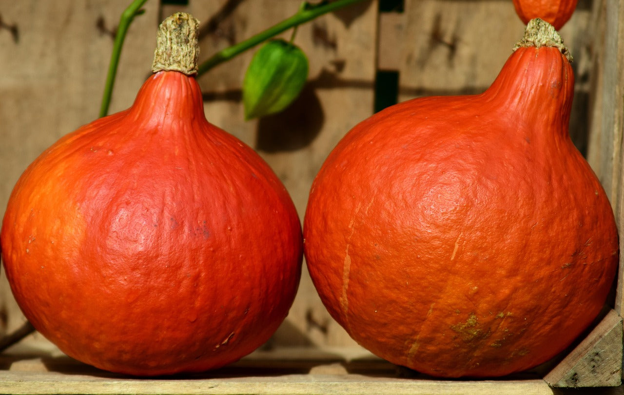 Cuisiner la courge