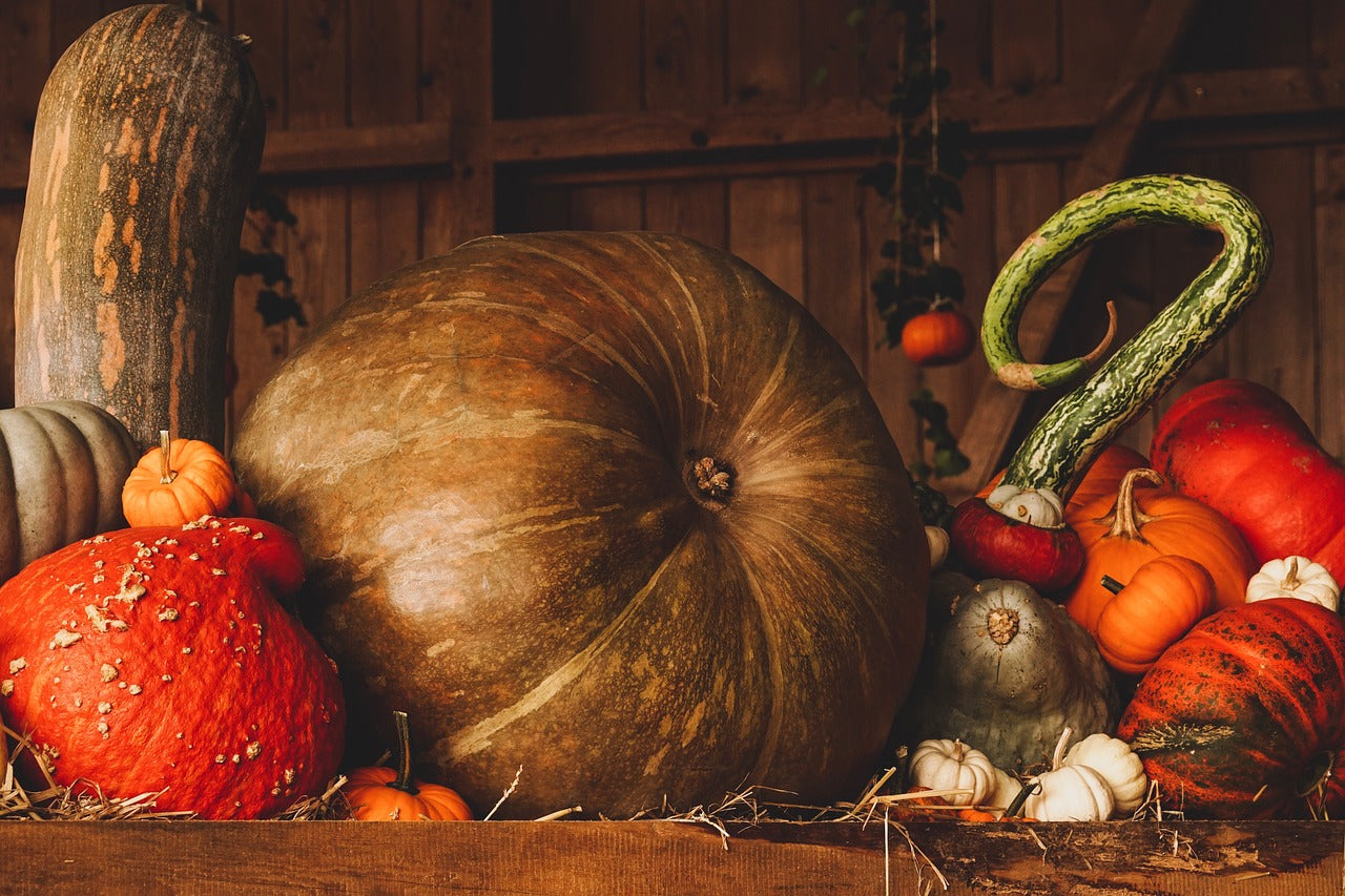 Cuire une courge spaghetti au air fryer