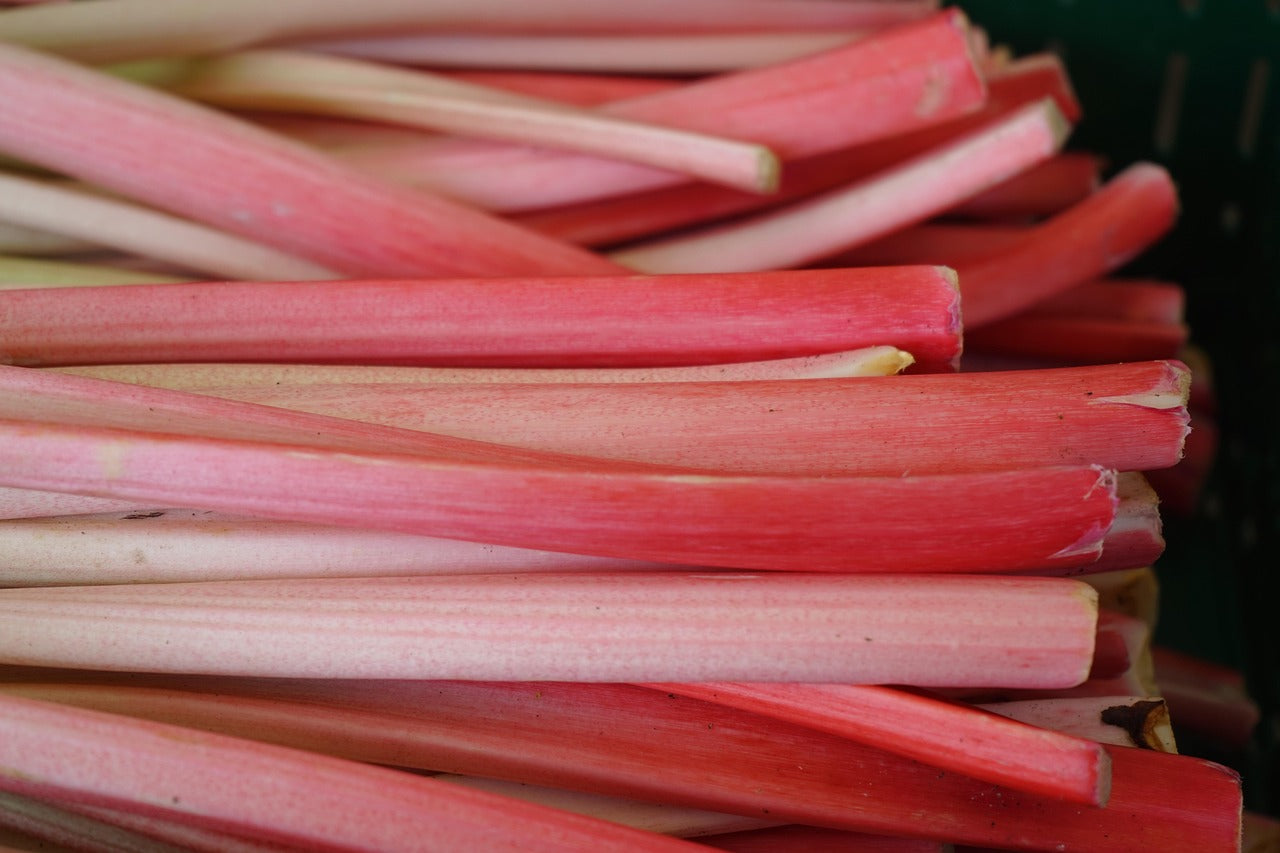 Compote de rhubarbe au Thermomix : nature, fraise ou pomme
