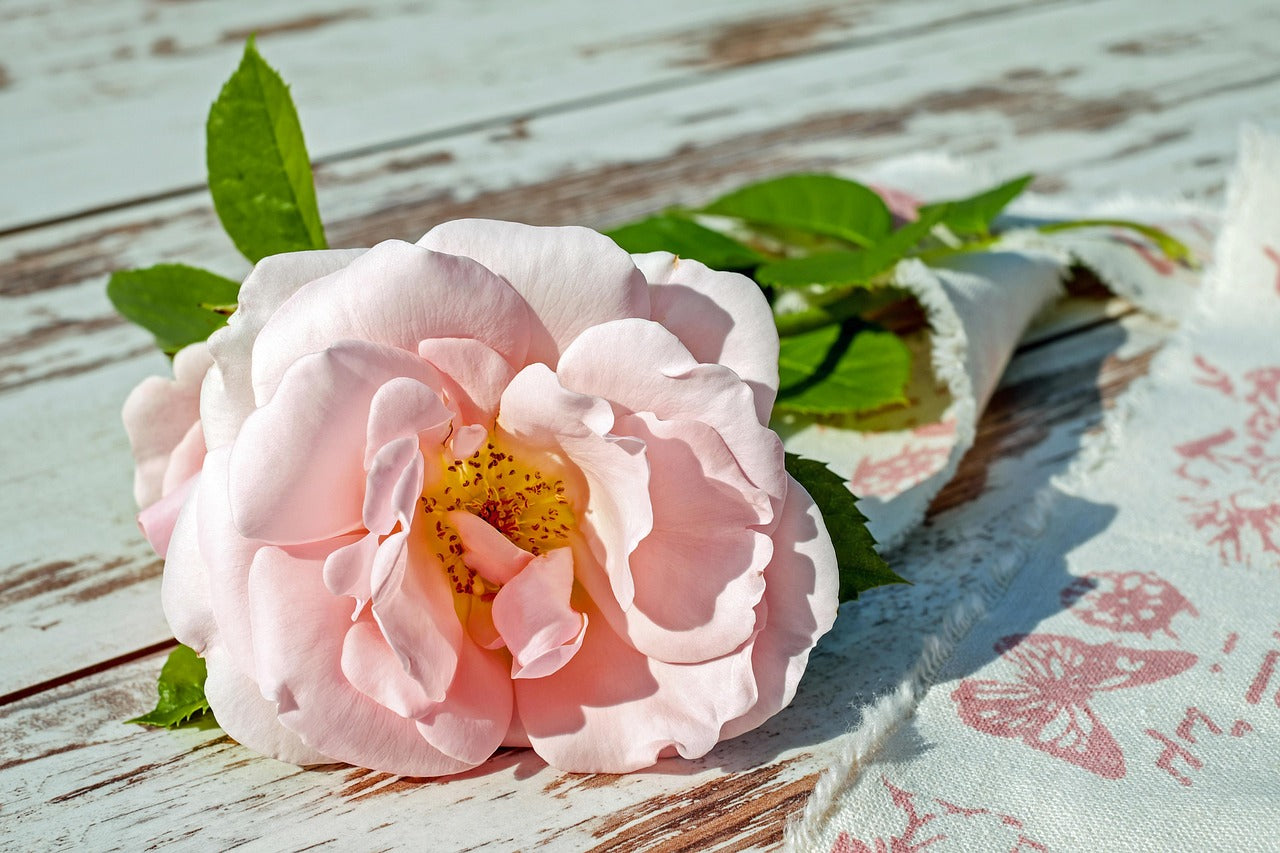 Conserver des pétales de roses