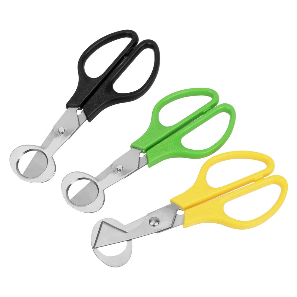 ciseaux inox pour casser des oeufs de caille
