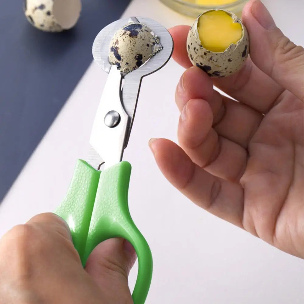 ciseaux de cuisine en inox pour œufs