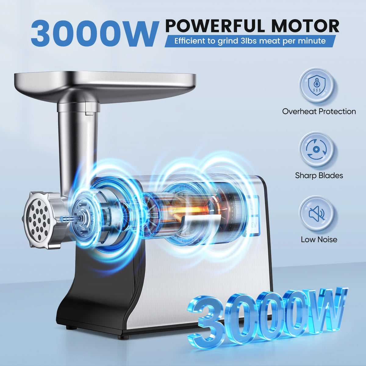 hachoir polyvalent 300 watts