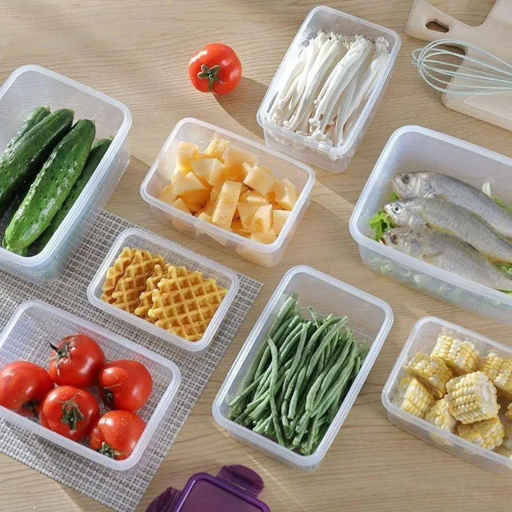 containers en plastique pour conservation alimentaire