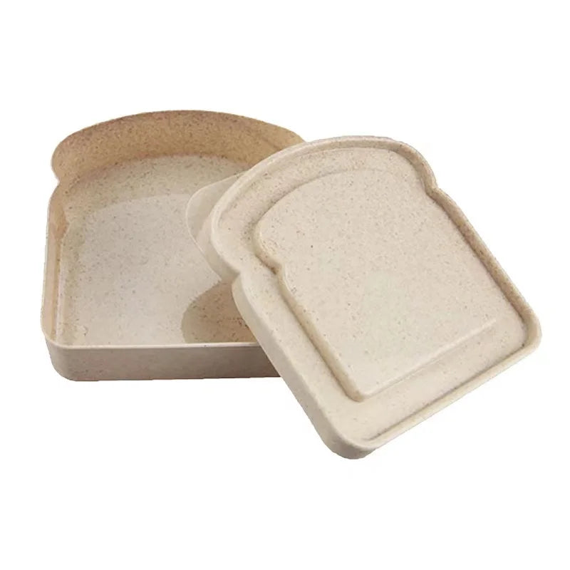 boîte à lunch en matériaux durables