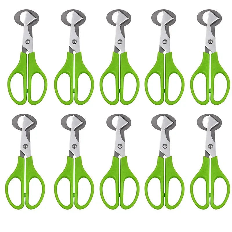 Ciseaux à œufs en inox 10 pièces pour couper les œufs de caille