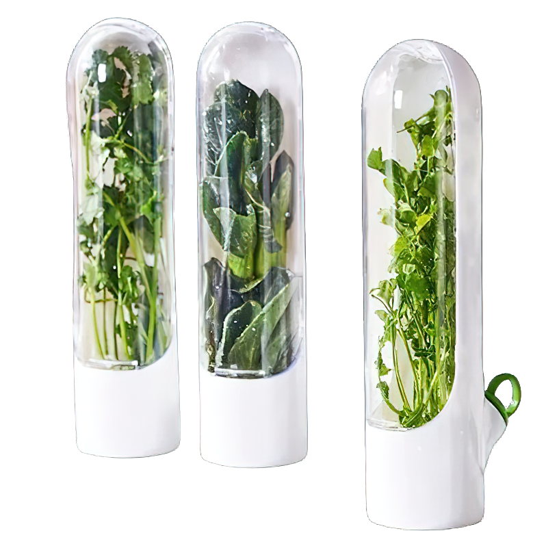 Boîte Hermétique 3 Pièces pour Conservation Légumes Frais