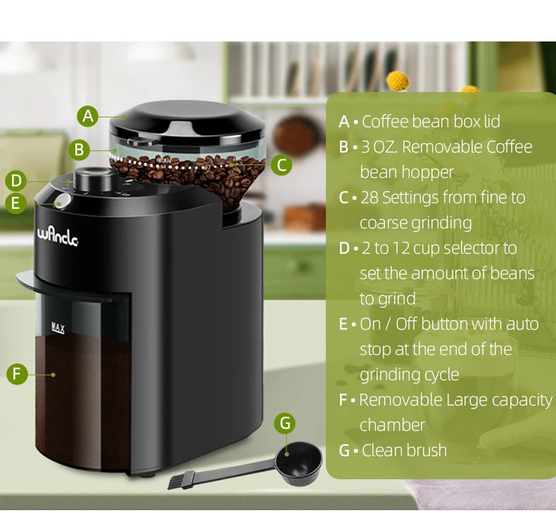 Éléments du moulin à café électrique compact