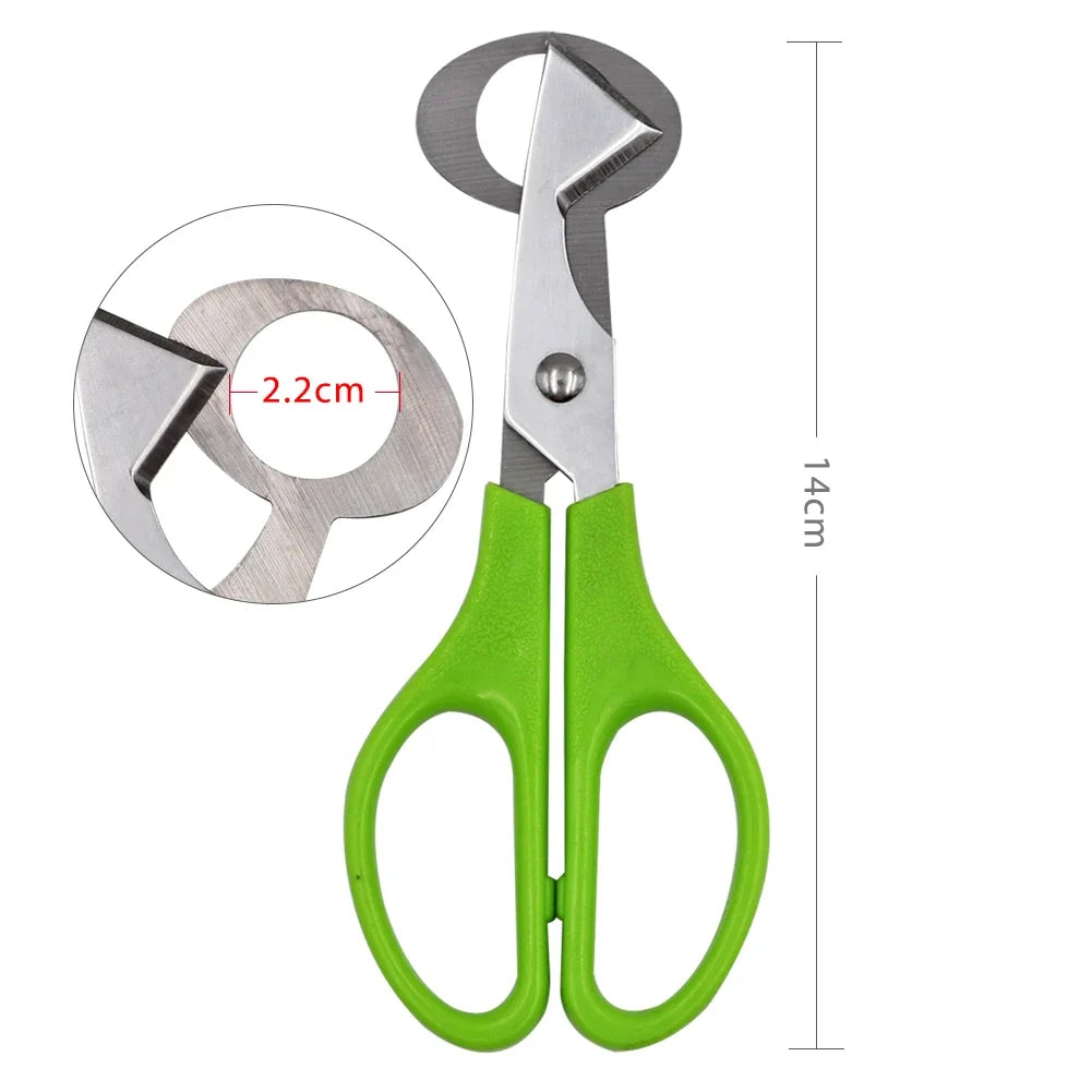 ciseaux de découpe inox pour œufs délicats