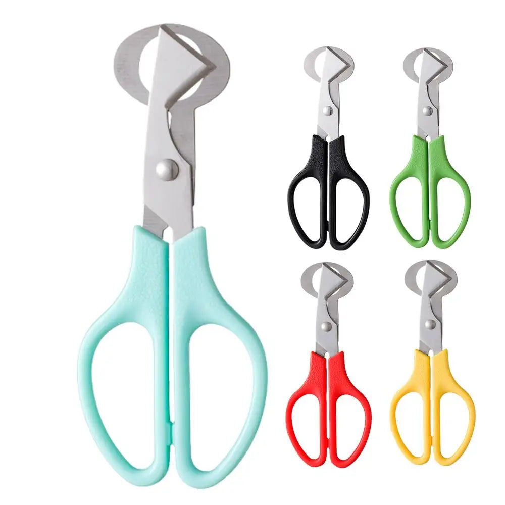 ciseaux en acier pour cuisine