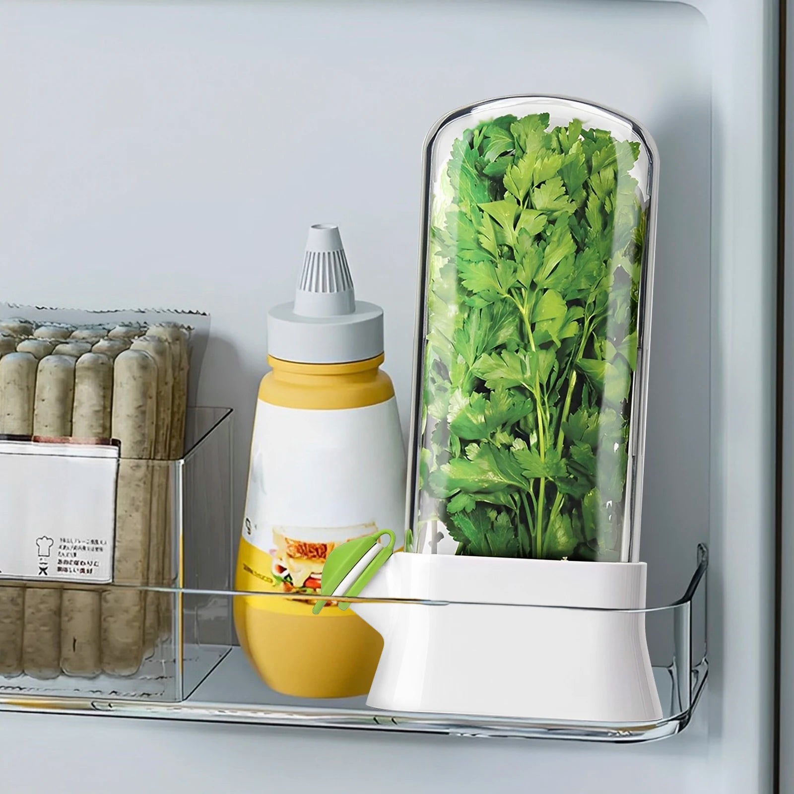 récipient hermétique pour herbes au réfrigérateur