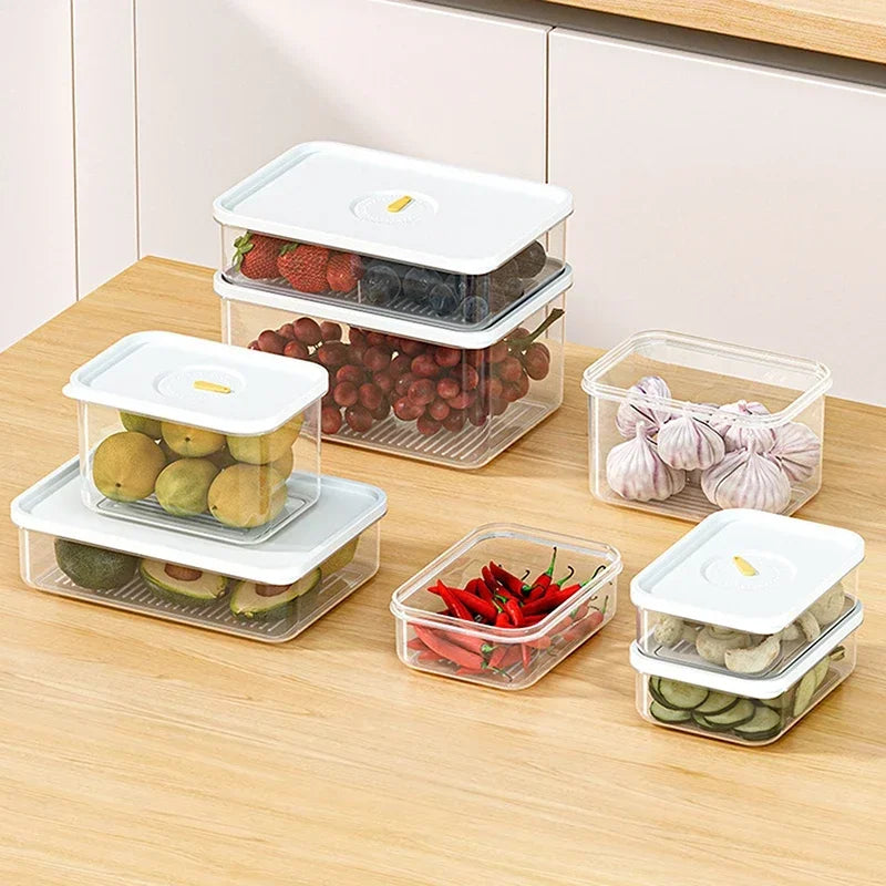 lot de bacs de conservation pour viande