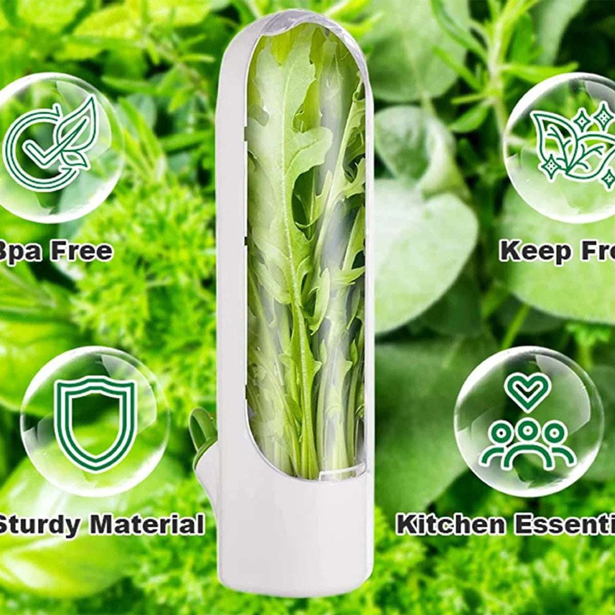 récipients hermétiques pour légumes frais