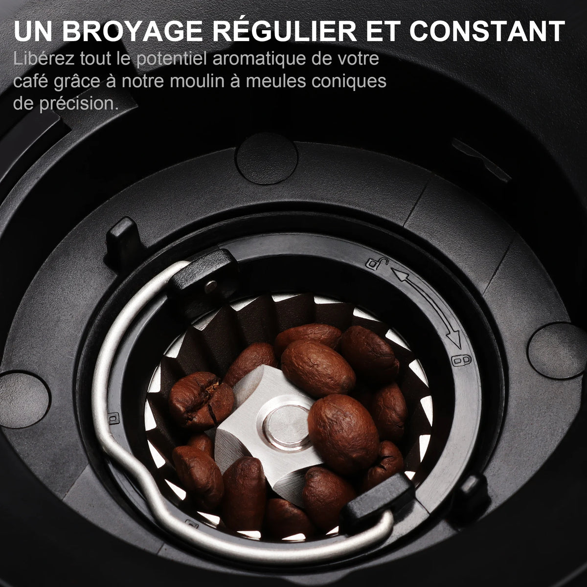 Meules coniques pour un broyage régulier