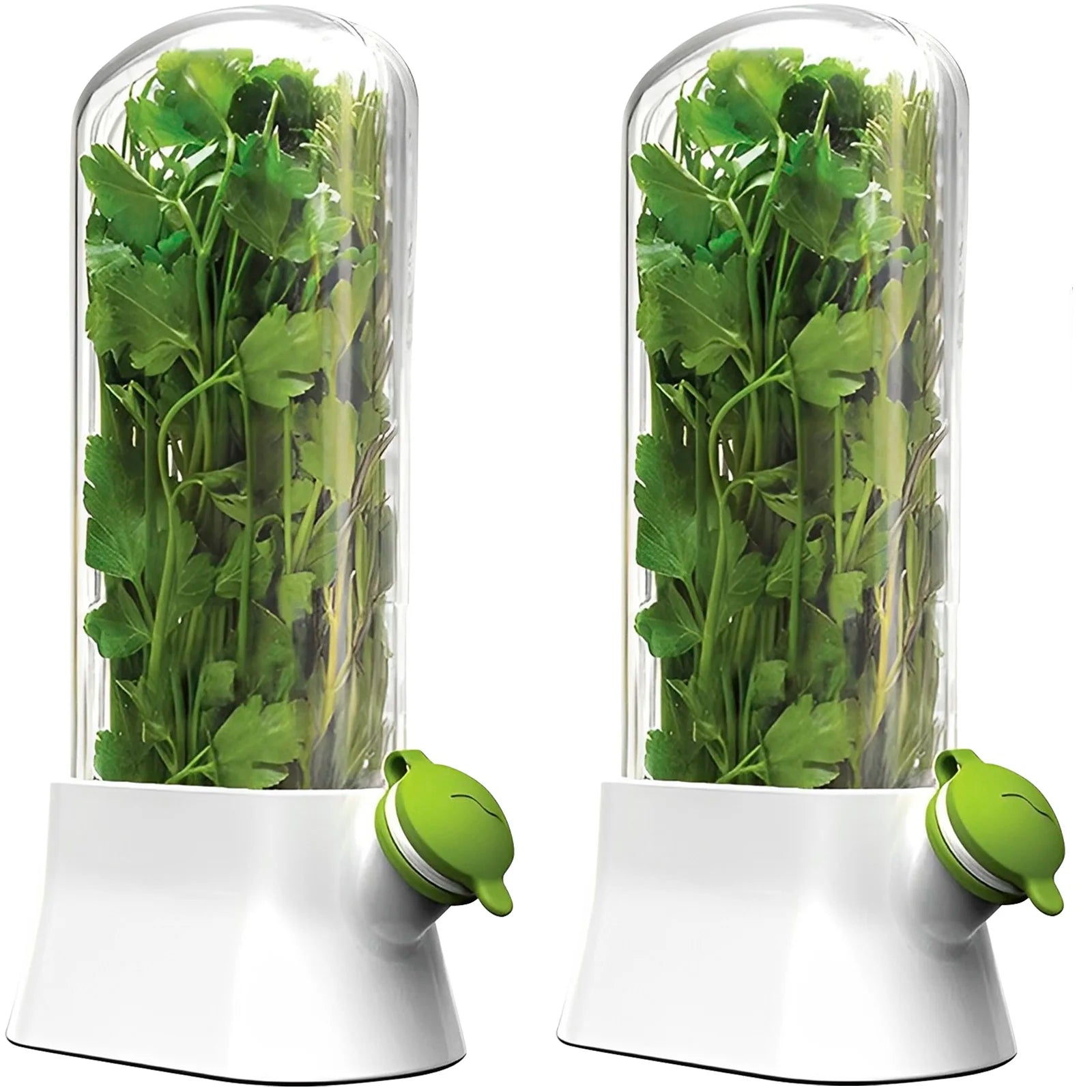 accessoire pour organiser les herbes au réfrigérateur