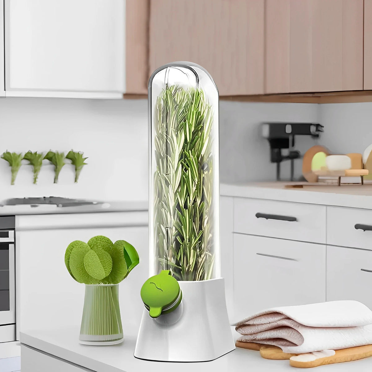 pot de cuisine en verre pour herbes aromatiques