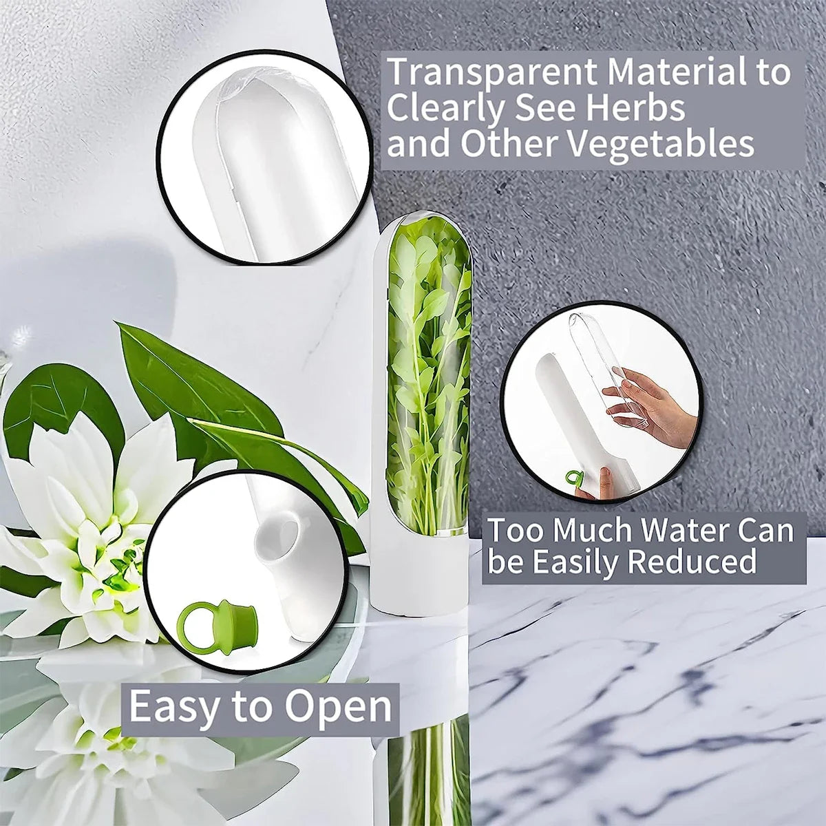 boîte de rangement hermétique pour légumes